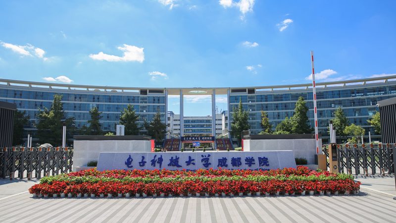 恒流二极管：选对供应商，保障电子系统稳定运行**