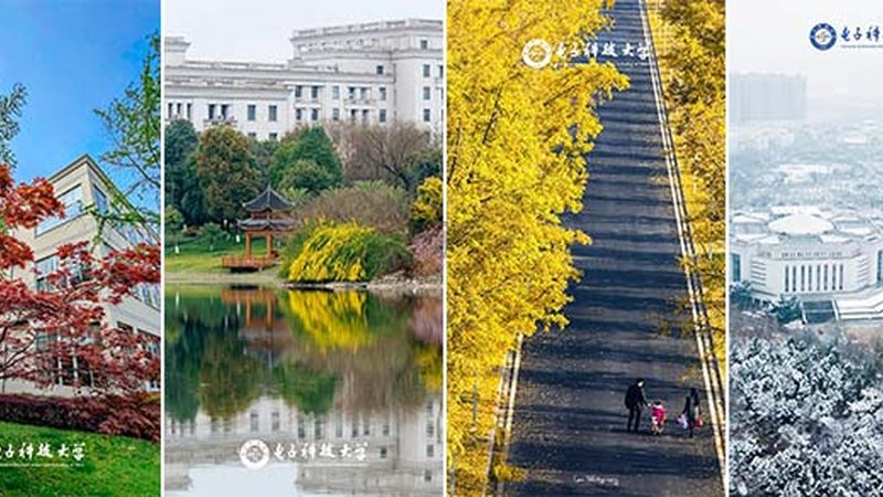 电子科技品牌：揭秘十大影响力企业背后的秘密